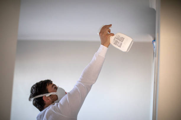 Best Crawl Space Mold Removal  in Midway, NC