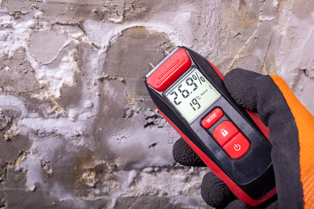 Certified Mold Removal in Midway, NC