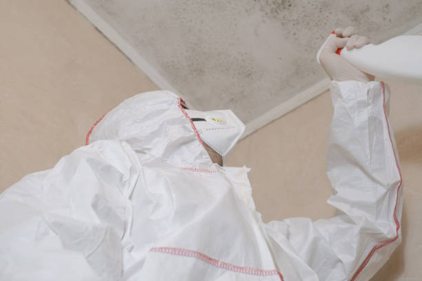 Best Mold Testing  in Midway, NC