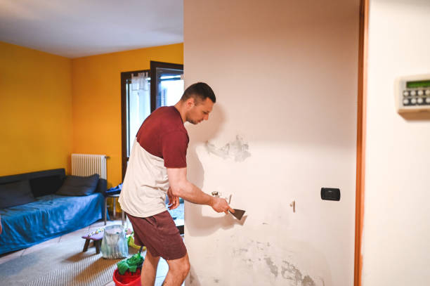 Best Professional Mold Removal  in Midway, NC