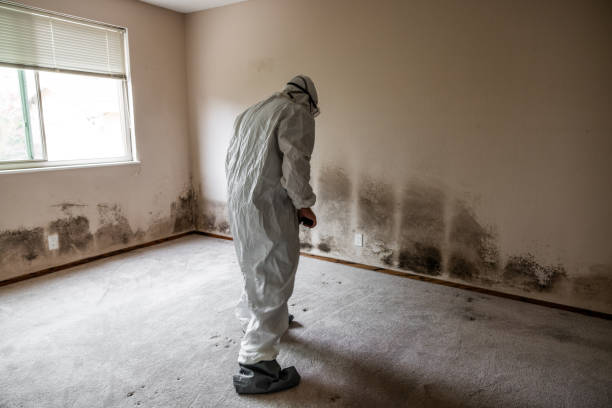 Best Certified Mold Removal  in Midway, NC